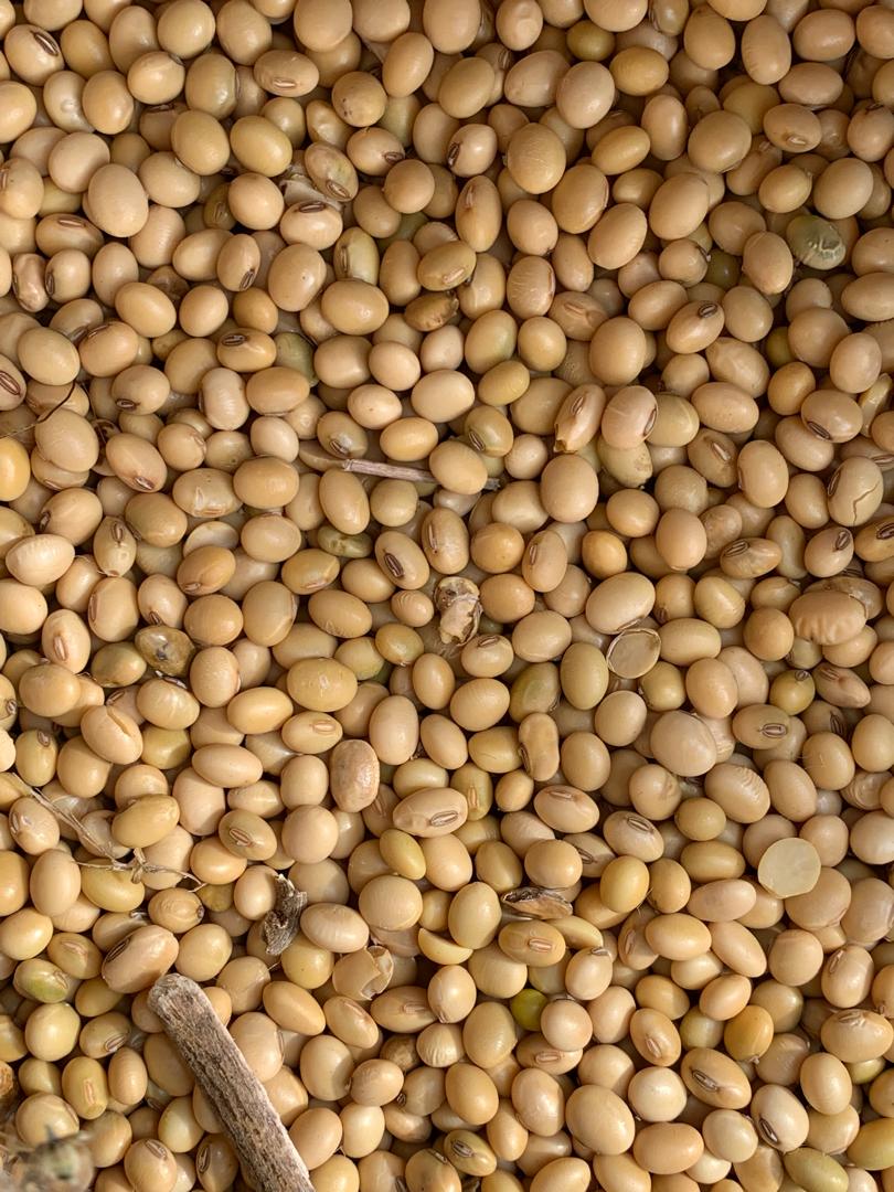 Expanding Local Innovation